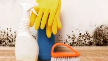 como reparar humedad baño