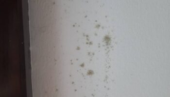 reparar humedad condensacion