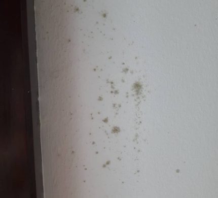 reparar humedad condensacion