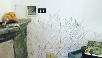 reparar humedad de muro