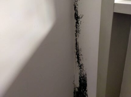 reparar humedad pared baño