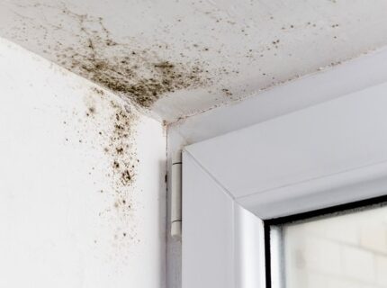 reparar humedades madrid