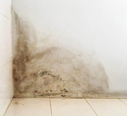 reparar humedades por filtración